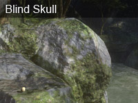 Blind Skull